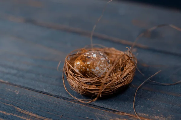 Easter Poster Banner Bird Nest Egg Wooden Board — Stock Photo, Image