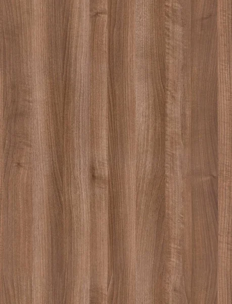 Tertemiz ahşap tahta. Ahşap dokusu yüksek kalite