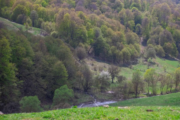 Yenokavan köyü, Tavush bölgesindeki Khachaghbyur vadisi.
