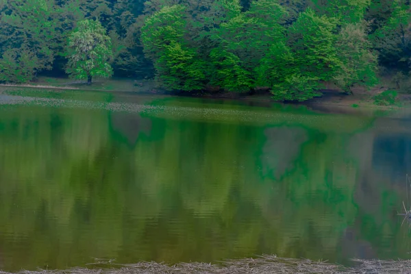 Tsoveri Lake Lori Armenia — Stock Photo, Image