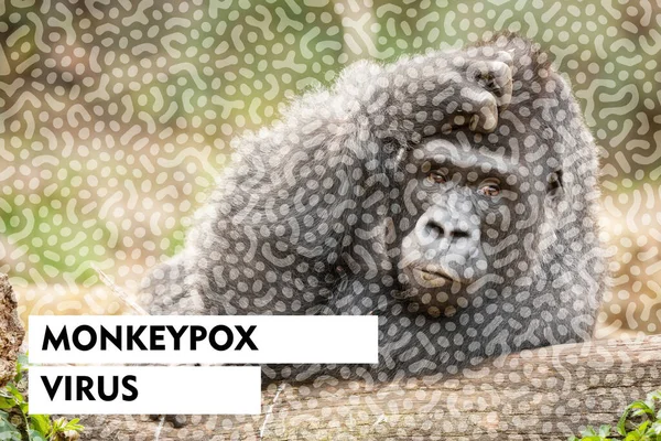 Monkeypox outbreak concept. Monkeypox is caused by monkeypox virus. monkeypox pandemic virus.  . Monkeys may harbor the virus and infect people. Monkey background with bacteria pattern
