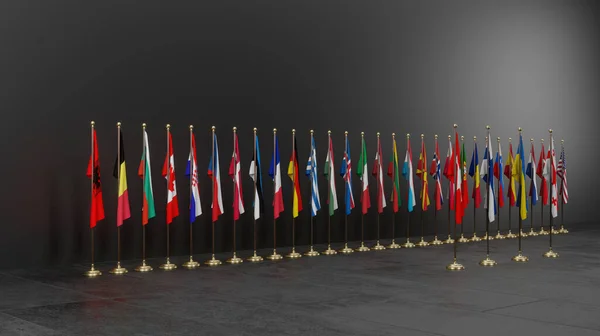 Banderas Los Países Miembros Otan Banderas Los Miembros Otan Cumbre — Foto de Stock