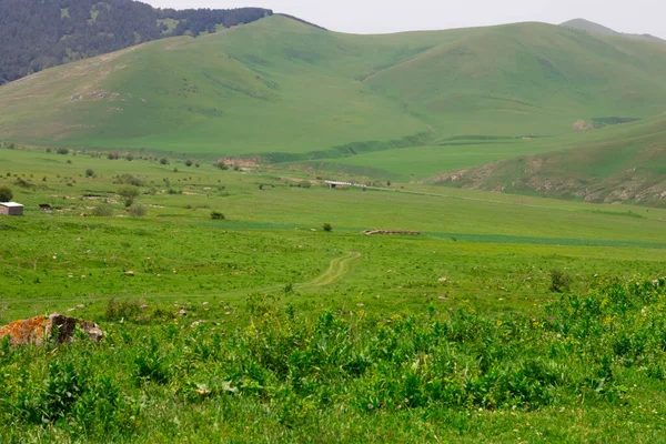 Природный Ландшафт Горы Армения Лорийская Область — стоковое фото