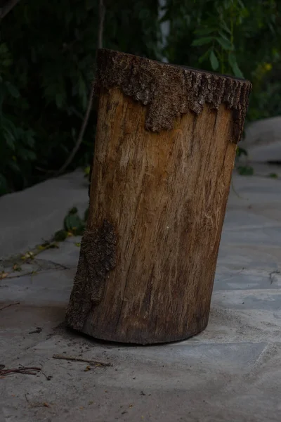 Tree Trunk Close Fundo Embaçado — Fotografia de Stock