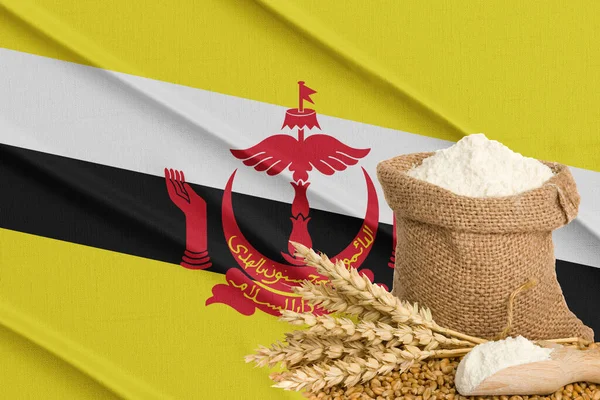 Brunei Gabonaválság Koncepció Globális Éhségválság Háttérben Flag Brunei Búza Gabona — Stock Fotó