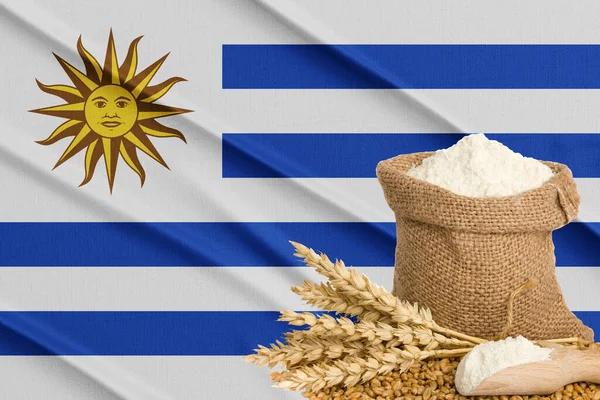 Κρίση Σπόρων Ουρουγουάης Παγκόσμια Κρίση Πείνας Concept Στο Παρασκήνιο Σημαία — Φωτογραφία Αρχείου