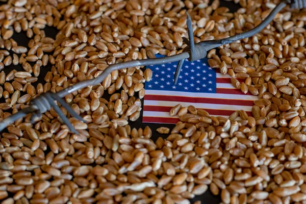 Flag of USA on Wheat  grain. Concept of growing Wheat in USA, USA grain crisis, global hunger crisis concept due to war