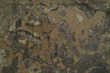 Texture plaster wall, texture map