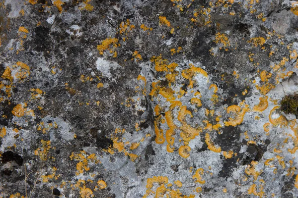 Texture Rock Seamless Rock Surface — Fotografia de Stock