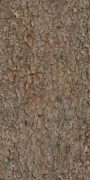 Textur Nahtloses Rindenholz Hohe Qualität — Stockfoto