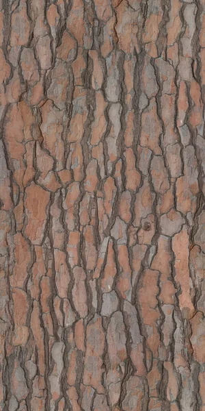 Płynne Drewno Kory Wysokiej Jakości — Zdjęcie stockowe