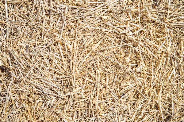 arka plan doku saman 