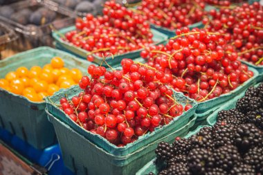 Kırmızı akım sepetleri, kiraz ve böğürtlen.