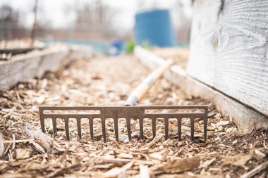 Gardening rake left on the floor of a community garden during a cloudy day 