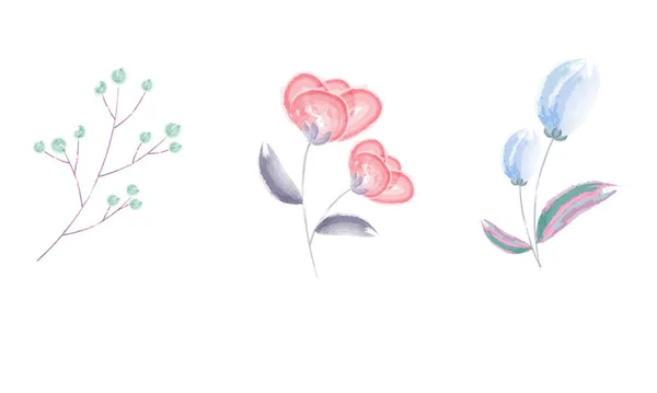 Pastel Renkte Suluboya Tek Çiçekler — Stok Vektör