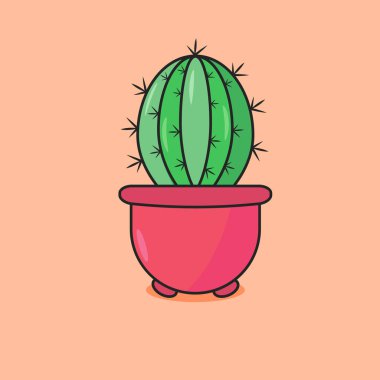 Kaktüs çiçeği, pembe bir saksıda bitki.