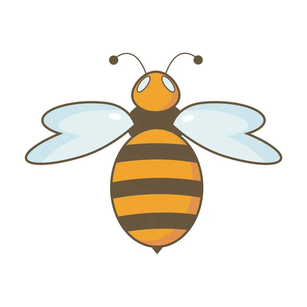Оранжевая Пчела Белом Фоне — стоковый вектор