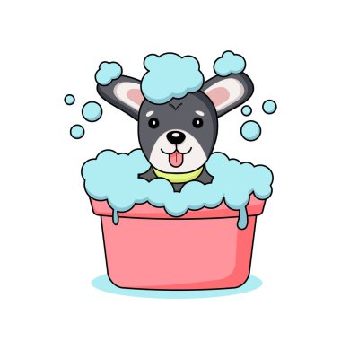 Sarı yakalı, köpüklü gri bir köpeğin oturduğu bir resim. 