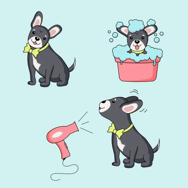 Set Dog Character Illustrations — Stock Vector