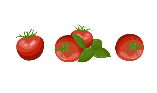 Set Painted Different Red Tomatoes — Stock Vector