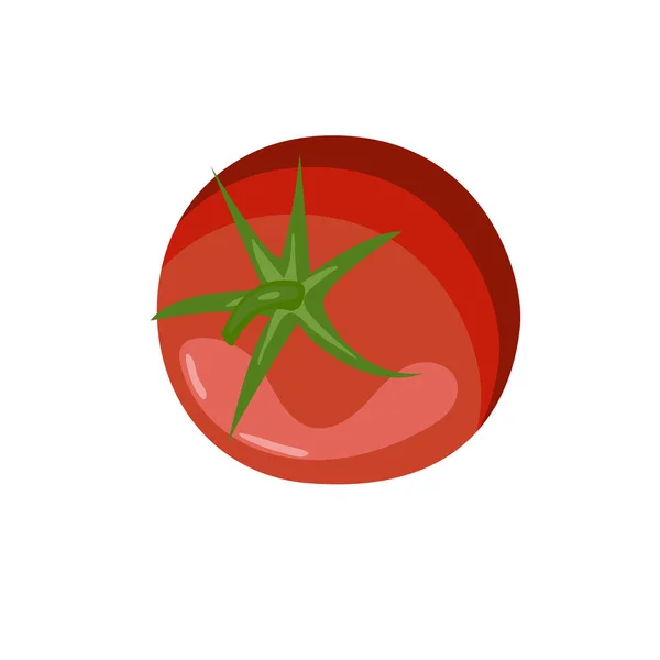 Tomate Vermelho Vetor Desenhado — Vetor de Stock