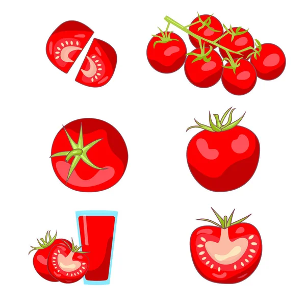 一套明亮的 不同的西红柿 放在树枝上和杯子上 — 图库矢量图片