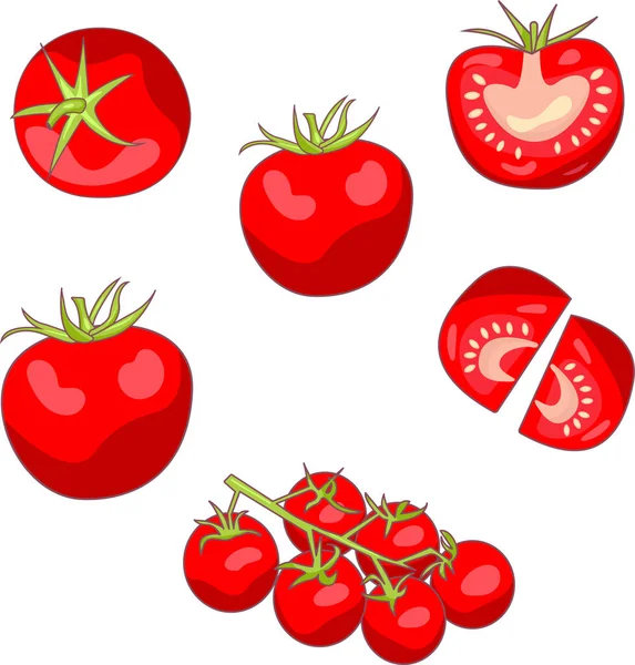 Conjunto Tomates Diferentes Colores Brillantes Una Rama Mitades — Vector de stock