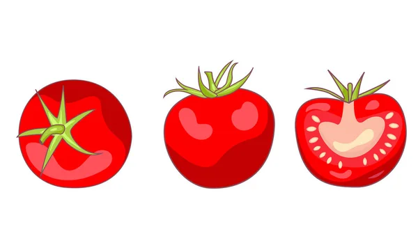 一组不同的番茄酱 — 图库矢量图片