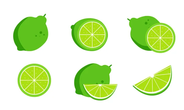 Farklı Limonlar Bir Buçuk Dilim — Stok Vektör