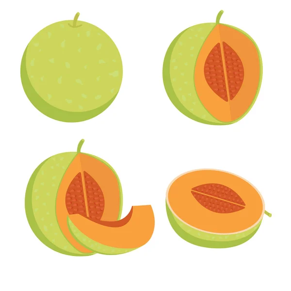 Set Different Types Melon — Vector de stock