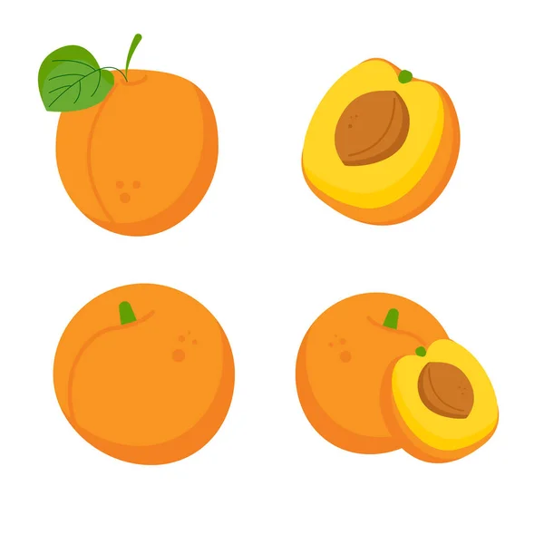 Set Mit Verschiedenen Aprikosenfrüchten — Stockvektor