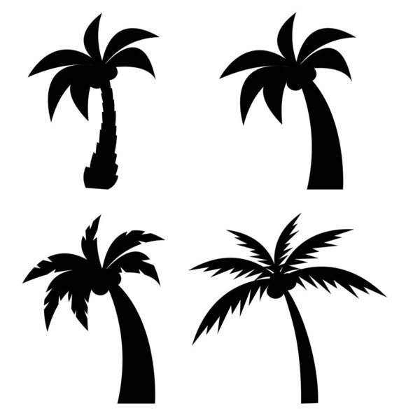 Set of different silhouettes of palm trees with coconuts. Isolated on white background. 