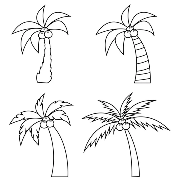 Set Different Palm Trees Coconuts Line Style Isolated White Background — Stock Vector