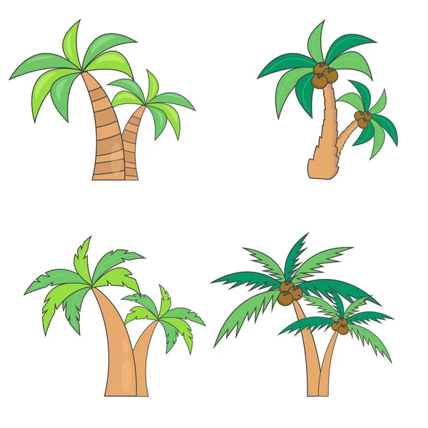 Hindistan Cevizli Farklı Palmiye Ağaçları Vektör Çizimi Beyaz Arkaplanda Izole — Stok Vektör