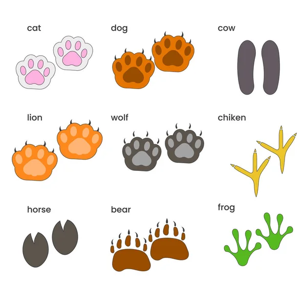 Set Different Colored Paws Animals Vector Illustration — Stockvektor