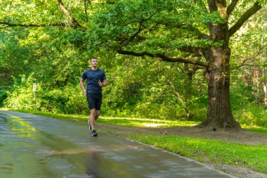 Atletin biri parkta koşuyor, ormanın etrafında, meşe ağaçları yeşil çimenler atletik atletik koşucu ormanlarına dayanan genç sporcular, fitness pisti genç bacaklar, dışarıda orman. Yaz enerjisi
