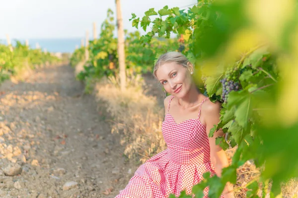 Ragazza in vigneto e montagne cielo terra vigneto vite, agricoltura autunno femminile. viticoltura vegetale — Foto Stock