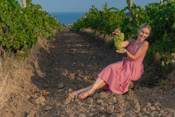 Ragazza in vigna e montagne cielo terra vite rurale, uva primavera, scenico. coltivatore vegetale — Foto Stock