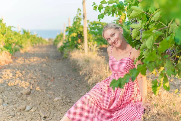 ブドウ畑や山の空の地球のワインの自然田園地帯での少女は、農業の赤い産業の空、バレル風光明媚な。ブドウの葉、白人、 — ストック写真