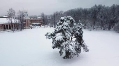 Tsaritsyno Oak Park kışın Tsaritsyno Moskova Sarayı kışı, gökyüzü buz gibi beyaz turizm. Açık mavi, bina yukarıdan daire şeklinde çekilmiş.