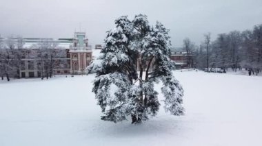 Tsaritsyno moscow russia orman parkı, peyzaj donması doğa, tarihi doğal anıt, dönüm noktası