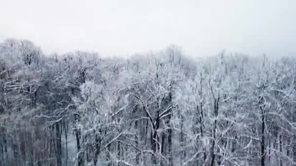 Tsaritsyno moskoe Rusland paleis uitzicht, landschap dag besneeuwde architectuur achtergrond, bevroren toerisme. Natuurblauw reizen, bouwen — Stockvideo