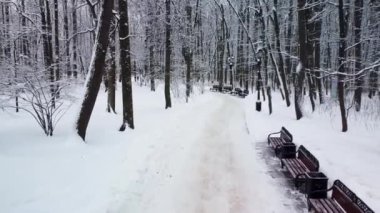 Tsaritsyno moscow russia hava kışı, karlı arka planda gökyüzü donması, tarihi yol. Doğal mavi seyahat, dönüm noktası