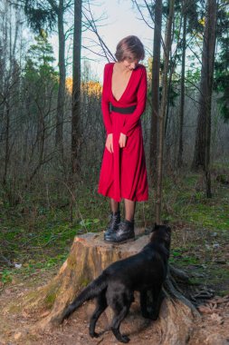 Klasik orman kökü muhteşem manzara, doğal ağaçlar beyaz, yaprak ceket