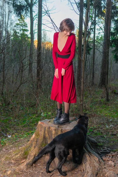 Klasik orman kökü muhteşem manzara, doğal ağaçlar beyaz, yaprak ceket