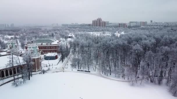 Tsaritsyno Moskova Rusya Sarayı manzarası, açık hava ağaç mimarisi doğa, tarihi manzara, kültür — Stok video