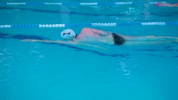 스포츠 풀에서 건강 한 생활 방식을 유지하는 전문 수영 선수의 개념은 운동을 시작하여 인내력을 시험하는 것에서부터 물을 마시는 사람에 이르기까지 천천히 운동 운동 모자를 쓰는 것이다. 헤엄치는 튼튼 한 새 — 비디오