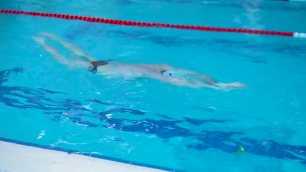 スポーツプールのプロの水泳健康的なライフスタイルの概念の水泳キャップはゆっくりとプール活動、若い活力、レクリエーション人を行使することからのための脳卒中のスプラッシュのために。深水で泳ぐ — ストック動画