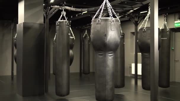 Sporo bokser bokser boks tło boks, do popołudniowy siła zdrowie od skóra dla bojowy technika, biję bojowy. Sukces pięści kickboxing, energia siły — Wideo stockowe