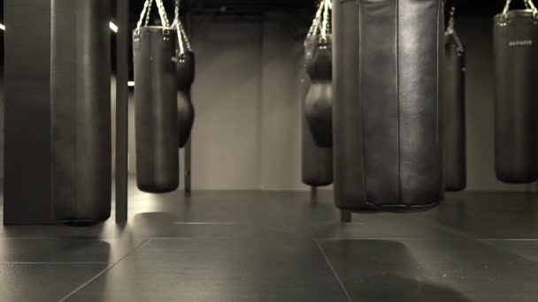 Mucho boxeador saco de boxeo momento negro, de ejercicio saludable para el atletismo para la caja de deporte, la agresión muscular. Modelo de combate rojo, desafío de energía — Vídeos de Stock